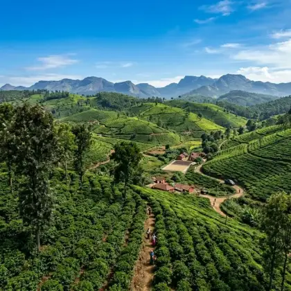 Best Mysore Taxi Service: Coorg &ndash; Chikmagalur 14.9k