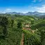Trending Mysore Taxi Deal: Chikmagalur Coffee Tour