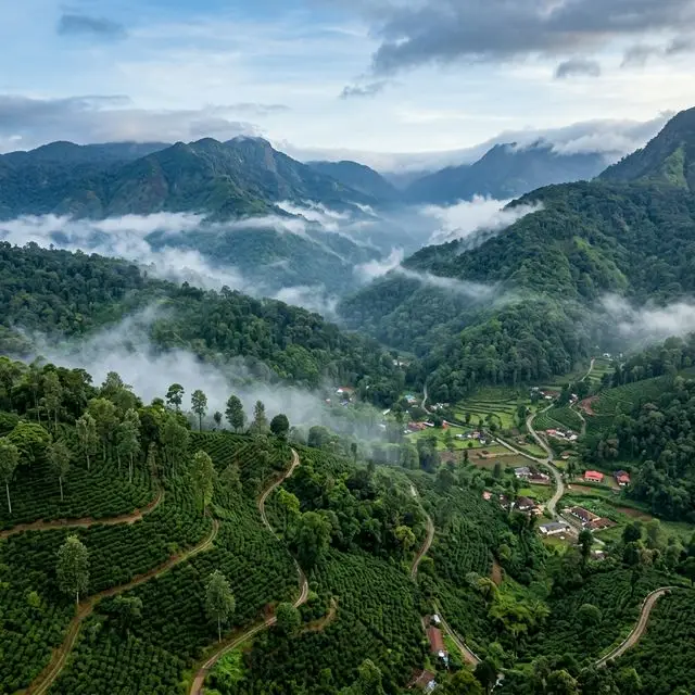 Mysore to Coorg Drop (One Way) - Mysore Tour Package