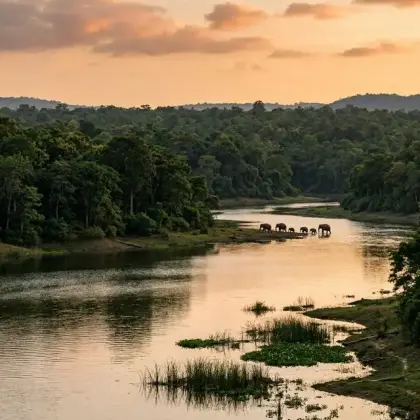 Best Mysore Taxi Service: Kabini Safari Tour