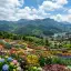 Trending Mysore Taxi Deal: Mysore to Ooty Day